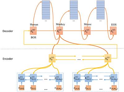 Species Classification for Neuroscience Literature Based on Span of Interest Using Sequence-to-Sequence Learning Model